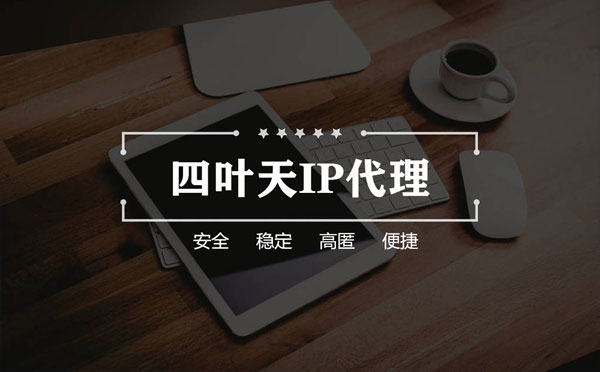 【南安代理IP】如何快速搭建代理IP？怎么检查代理的效果？